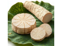 哪吒湖北的蓮藕(哪吒與湖北蓮藕奇妙的跨界美食奇緣)