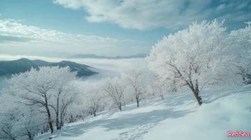 寒假西藏旅行攻略:冬日雪域高原探秘
