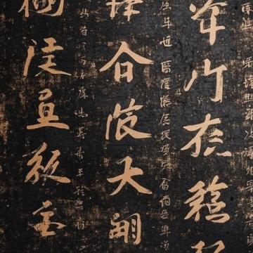 早些年,當(dāng)我初次聽到海月之名時,我覺得有點不可思議,古人竟然把這樣蘊含詩意的名