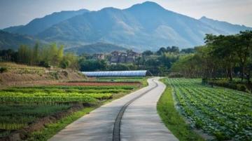 廣州周邊游白山村:帽峰山下的美麗鄉村,首屆“金豐嘉年華”等你來探索!
