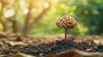 普通人如何通過反常識方法突破成長瓶頸?認(rèn)知覺醒給出答案