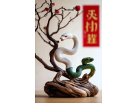 蛇年玄學指南：避免這些禁忌讓你運勢翻倍！