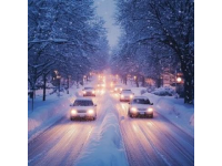 麻州大雪達76厘米，致3500航班取消
