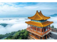 粵地風情萬種，食景文薈萃概覽
