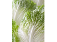 天水酸菜：千年傳承的隴上酸香記憶