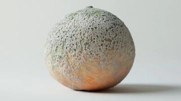 Mandarin-果子解謎:探尋“Pomelo”與柚子之間的奇妙聯系