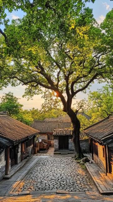 紫陽街是臨海市第一古街，是千年古城的縮影，如今這里依然保留了當時傳統，這里的美