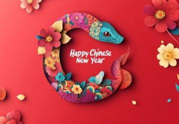 2025蛇年春節(jié)風(fēng)俗大盤點(diǎn):南北特色美食與民俗活動(dòng)