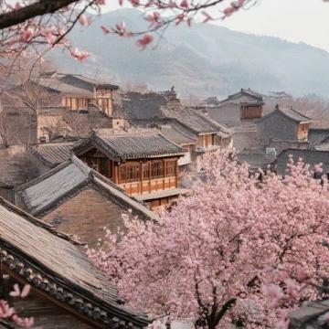 綿陽平武:賞梅花十里花海的周邊游攻略