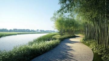 探訪武漢藏龍島濕地公園:秋日騎行與自然漫步之旅