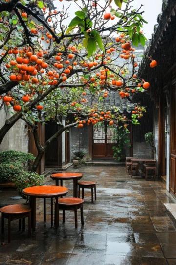 棗莊:探尋兩千年的石榴文化底蘊與城市魅力