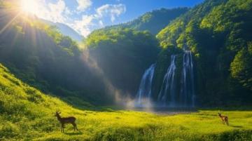 暑假好去處:文成縣山水風光與清涼瀑布之旅