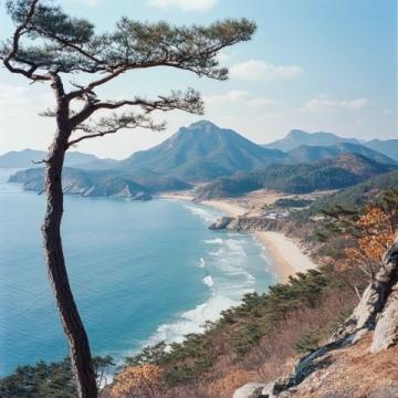 探索華東純凈海濱:東臺黃海森林公園,國家級生態仙境之旅