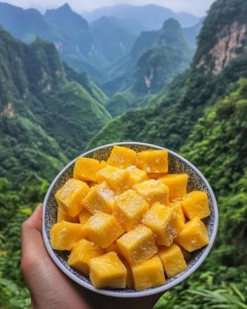 向家村:探索獨(dú)特的隆回縣美食之旅