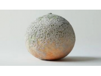 Mandarin-果子解謎：探尋“Pomelo”與柚子之間的奇妙聯系