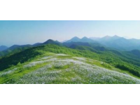稷山縣旅游指南