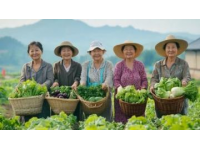 秋日里的甜蜜享受：經典拔絲紅薯制作詳解