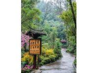 二三月旅行推薦：春城昆明美食美景攻略