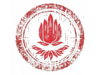 特40豬食堂郵票價值解析與歷史意義探究