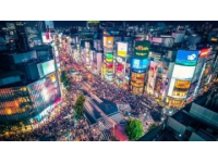 東京6日5晚深度游攻略：玩轉核心區域，體驗當地生活！