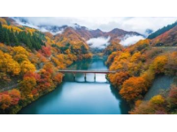 石川賞楓勝地大盤點