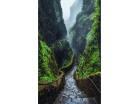 武夷山景區必知避坑攻略