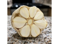 輕松掌握大蒜保存秘籍，兩大妙招防干癟發芽！