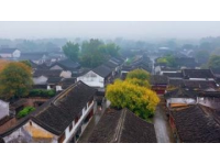 烏鎮(zhèn)街古色古香的美味與江南風情