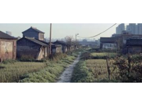 亳州“毫”音誤讀現象普遍，本地特色地名引關注