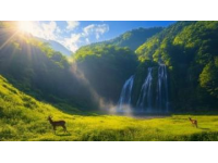 暑假好去處：文成縣山水風光與清涼瀑布之旅