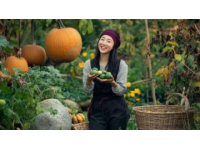 趙縣美食探秘：家鄉(xiāng)蒸菜的傳統(tǒng)韻味與創(chuàng)新之旅
