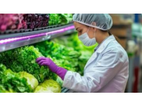 筑牢食品安全防線：源頭監管、科技創新與公眾參與