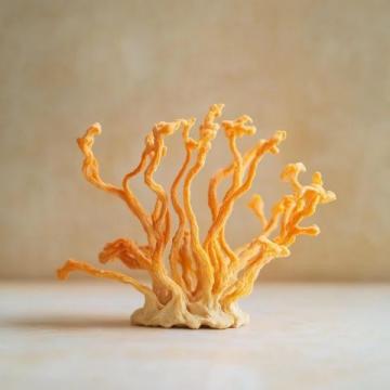 尖叫蘿卜皮|嘎嘣脆,口感脆爽又開胃,配方標(biāo)準(zhǔn),細(xì)節(jié)技巧無(wú)保留分享