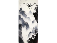 追求完美的旅程：白峰美羽的獨特魅力與挑戰