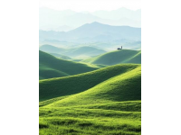南方的呼倫貝爾大草原—湖南邵陽南山牧場這次來湖南旅行