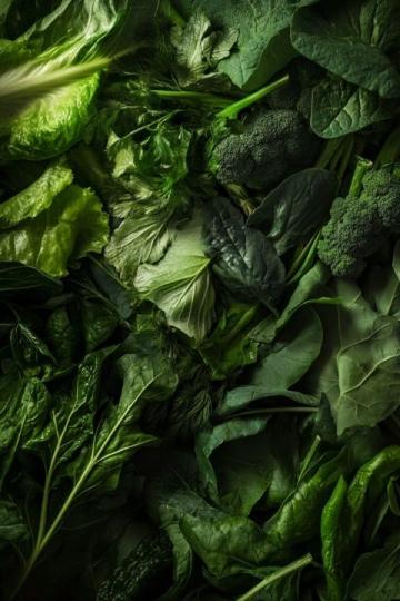 吃出健康:野菜自然饋贈(zèng)中的生命密碼