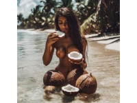 品味椰香：王校長同款！三亞必吃椰子雞，一試難忘的美食盛宴