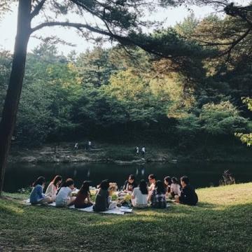 80后安徽農村童年:野炊趣事與田野里的自然美味