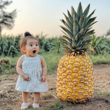 南寧人夏天愛吃水果撈你平時怎么吃?