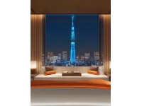東京皇宮酒店帕雷斯酒店東京東京都中城日本