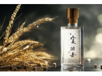 揭秘四川宜賓的獨特風味：血皮菜的奇妙江湖