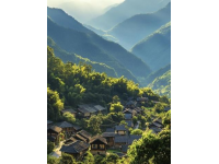 青城山旅游攻略：自然與文化的完美融合指南