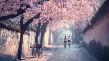 湖南常德桃花源:融合自然美景與歷史文化的神秘勝地