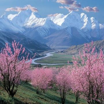 重慶酉陽桃花源游玩攻略(重慶酉陽桃花源游玩攻略穿越塵世)