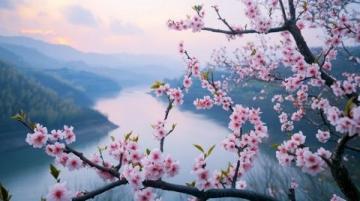 湖南常德桃花源:融合自然美景與歷史文化的神秘勝地