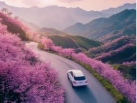 探尋國(guó)內(nèi)櫻花盛宴：精選賞櫻路線推薦盤點(diǎn)