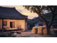 探秘徐杰家族的秘密：關師傅在惠州博羅園洲鎮的農家樂奇遇記