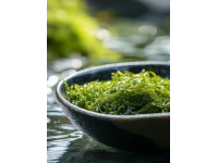 銀耳 vs 燕窩：經(jīng)濟實惠的養(yǎng)生選擇——美膚補水潤肺湯的做法