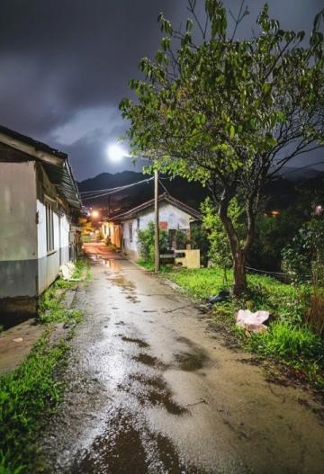 青島小巷:雨后時光的詩行與古色青石板