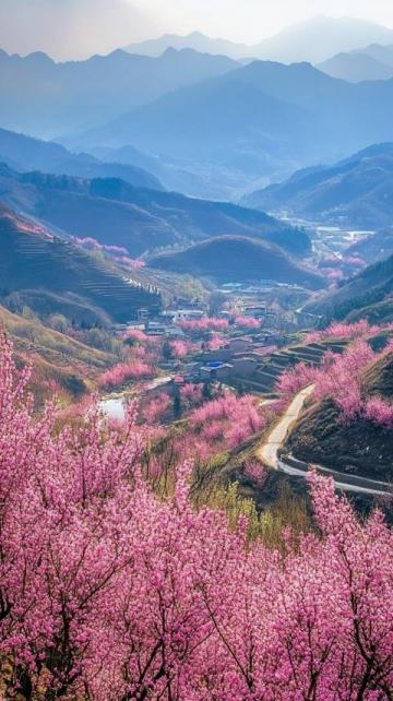重慶春日賞花游攻略:自然人文美景全收錄